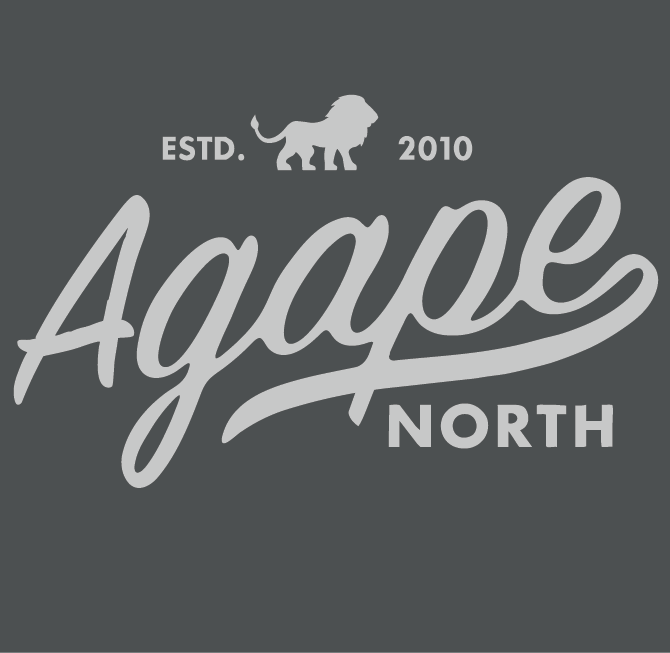 Agape North - BC3901 – BELLA+CANVAS® Unisex Sponge Fleece Raglan Sweatshirt