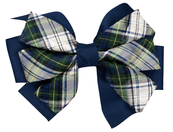 JMS - Pinwheel Bow on Barrette