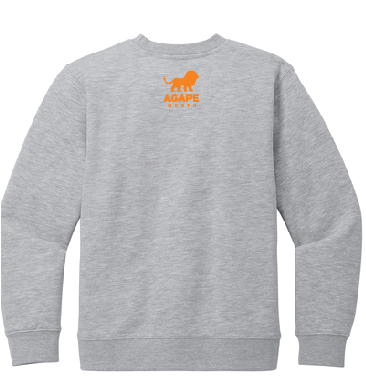 UT Football - YOUTH DT6104Y - Football Family Crewneck